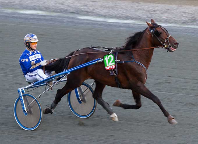 JT's Crown med Tom Erik Solberg var nummer to i sรฅvel Kriterium som Dervy Foto Eirik Stenhaug
