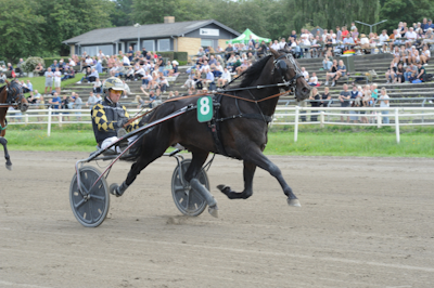 Staldnyt: Flemming Jensen