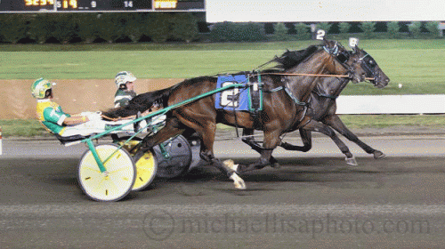 King of The Hill med Tim Tetrick og Rubio med Yannick Gingras kæmpede hårdt om sejren og endte med at løbe dødt løb