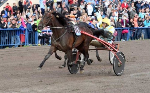 Spanske Trebol, vandt Kymi Grand i Finland 2015 Foto Gerard Forni
