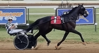Danskejet 3-åring møder Hambletonianfavoritten