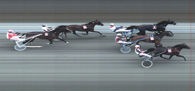 TRods toptillæg vinder 10-årige Laughning Stock foran Derbyhesten T Rex, der førte undervejs.