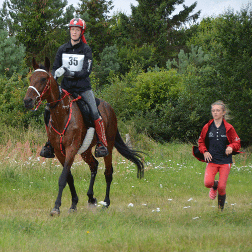 Le-Mans-Gubi-mod-maal