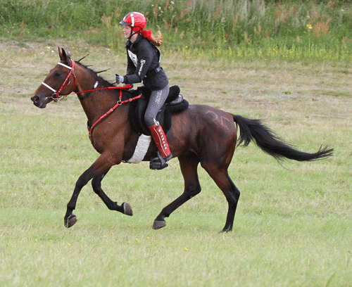 Le-Mans-Gubi-paa-vej