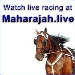Maharjah Live