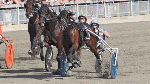 Marion Marauder vinder The Hambletonian 2016 Lisa Photo. Indvendige Southwind Frank, der bliver nummer to er desværre ikke med på billedet,