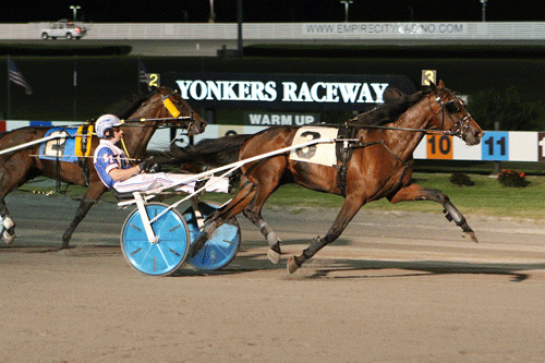 Marion Marauder med Scott Zeron ses her vinde forsøget til Yonkers TRot, hvor sejren aldrig var i fare. Men det var den i nat! Foto Ken Weingartner