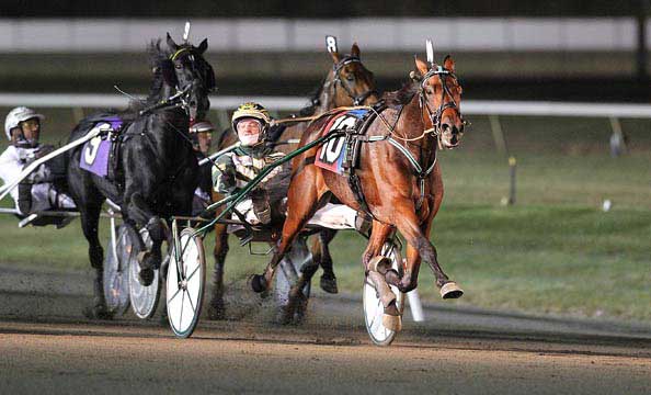 Maven med Yannick Gingras var ene hoppe i feltet, men bedst. Lisa Photo