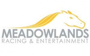 Meadowlandslogo-300x186