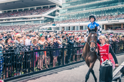 Melbourne Cup. Foto Wikimedia