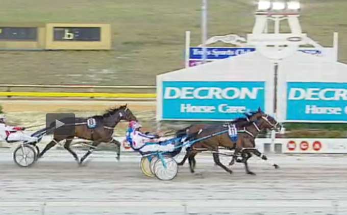 Sรฅ tรฆt var Michelle Mรธnster pรฅ sejren. Udvendige Middle Boy Er en mulespids foran nรฆsten skjulte Buschi med Michelle Mรธnster