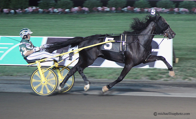 Mission Brief har endnu ikke levet op til forventningerne i avlen