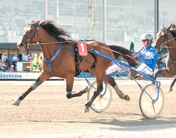 Mister J. P. - Europas bedste 2-åring! Kanal 75