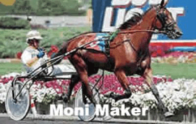 Moni-Maker