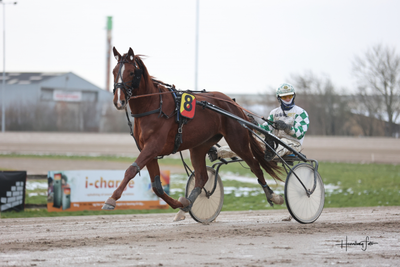 Moni Talks på internetauktion