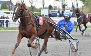 Moni Talks solgt til Sverige