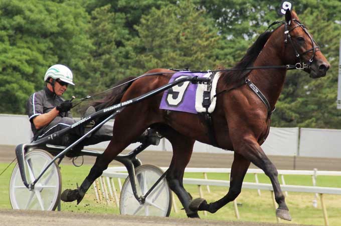 Mr Picolit med ร
ke Svanstedt fรธr parret var i Qualifier pรฅ The Meadowlands, Foto Ken Weingartner.,
