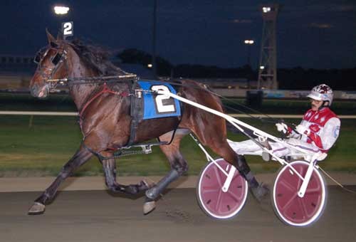Den da 2-årige Muscle Diamond med John Campbell i sulkyen .