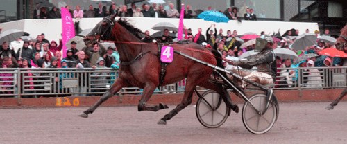 NAHAR-ELITLOPET-ARRVEE2