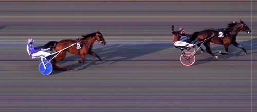 Support Justice vinder NM for Hingste foran Caprino BR med Kim Pedersen.