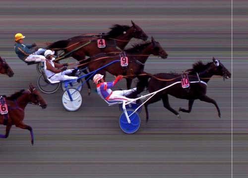 Dobbeltsejr til Stald Bo Wrstergaard i NM for hopper! Angelina BR vinder foran Nelson Nora