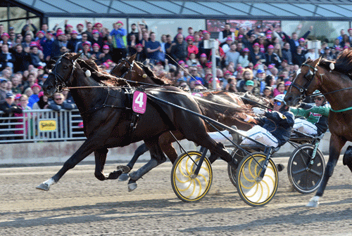 Nuncio med Ôrjan Kihlström vinder Elitloppet foran udvendige Resolve , mens Un Mec d'Heripre bliver nummer tre, Foto Gerard Forni