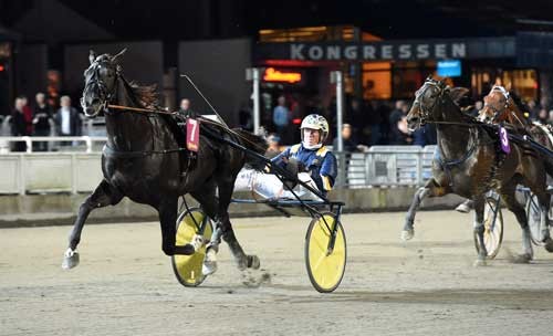 Nuncio med Stefan Melander vandt 6. sejr i træk. Foto Kanal 75