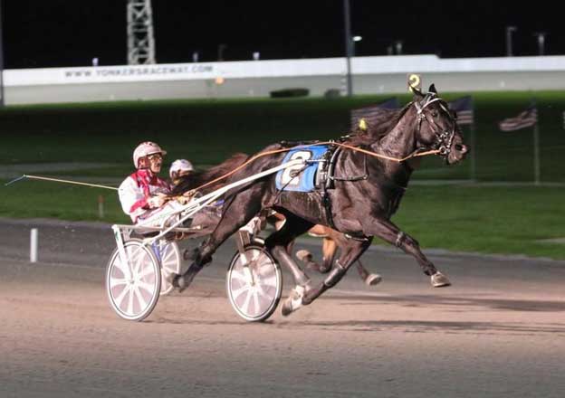 Nuncio med John D Campbell - Årets Traver i USA?