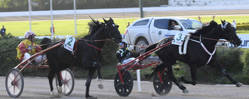 Oasis Bi med JOhnny Takter syrger indenom Voltigeur du MYrt og vinder Gran Premio Lotteria 2016. Det gav invitation til Elitloppet  Foto Gerard Forni,