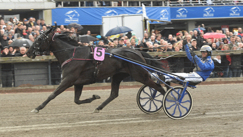 Fabrice Souloy-trænede Your Higness slettet i Åbergs Memorial. Foto Gerard Forni