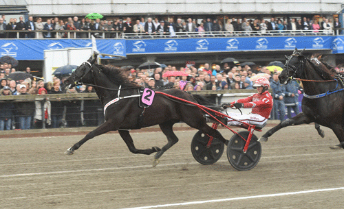 BBS Sugarlight - Foto Gerard Forni