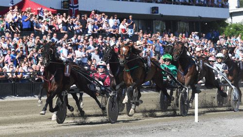 Efter 1000 meters kรธrsel med Mosaique Face i spids, Nuncio udvendigt, Un Mec dรธHeripre i rug omed Your Highness udvendigt for sig. Foto Gerard Forni