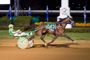 Odd On Amethyst,  Arkiv