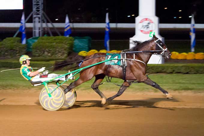 Odd On Amethyst, da med med Tim Tetrick i fjor vandt en afdeling af Buegrass Stake. Arkiv