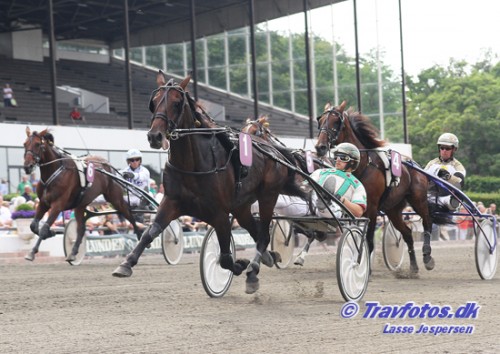 DM_vinderen Open solgt til Bornholm, jhvor den udbydes som anpartshest,