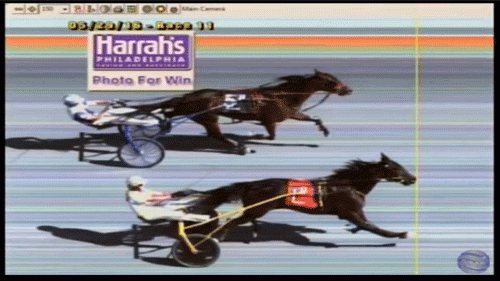 Orbigado-Maxie-Lee-2016