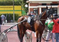 Pingus Vangpå hård opgave i eftermiddag. Foto Gerard Forni