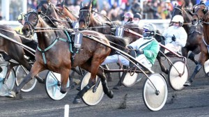 PRIX-DE-FRANCE-MAVEN