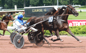 Ravenna vandt i sommer fire løb på Enghien. Foto Gerard Forni
