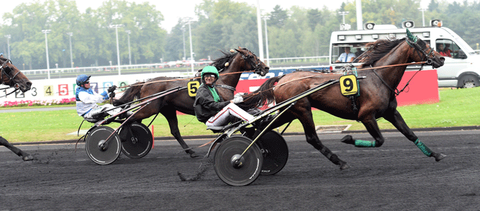 Ravenna med Franck Nivard må se sig henvist til andenpladsen af Up the Green med Jean Michel Bazire