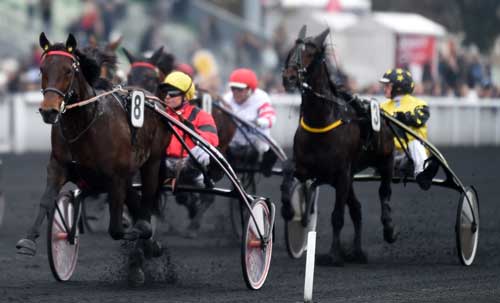 Bold Eagle med Franck Nivard vandt efter behag. Foto Gerard Forni