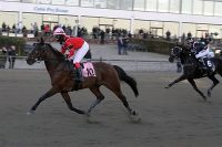 Så rundede Palermo Tårs millionen i indtjening, da Nicole Marsing vandt med ham - Foto: Martin Timm Holmstav