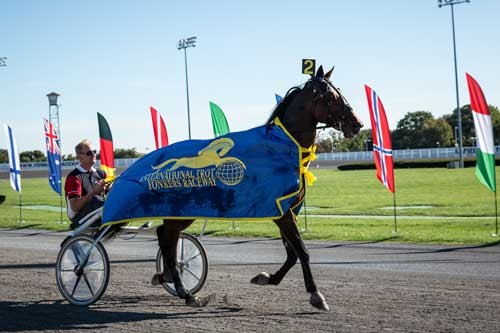 VM-vinderen Papagayo E. Foto Eirik Stenhaug