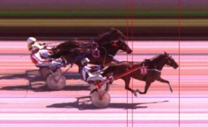  Peanut Butter med Gordon Dahl vinder på marsa-banen på Malta.