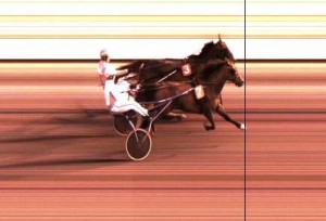 100-oddseren Pingo Spring vinder knebent foran Viking Olympic.