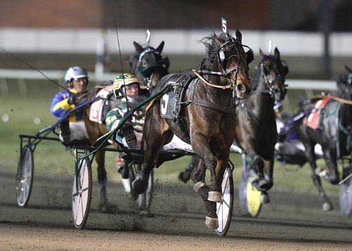 Pinkman, der nyligt vandt finalen i Valley Victory Rot, vandt sikkert og er klar til Breeders Crown-finalen. Lisa Photo