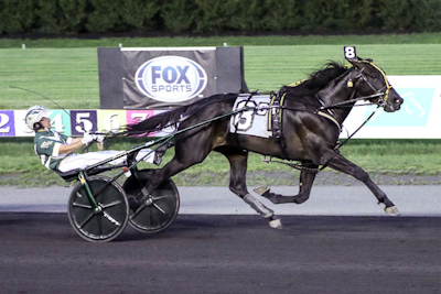 Hambletonian-hest i dansk debut