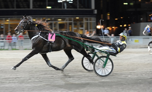Ponziopilato Stra med Ôrjan Kihlström, da parret vandt trænersejr nummer 1.000 til Stefan Hultman. Kanal 75