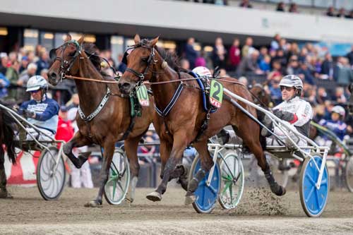 Punktum Skalflex vandt i 1.5.9/3120 m volte, hvad der var y dansk rekord Foto Eirik Stenhaug