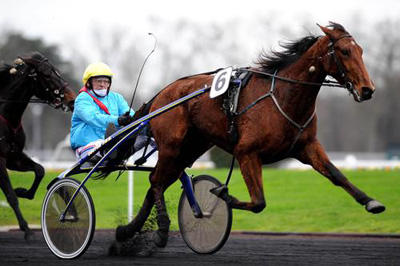 Qualita Bourbon - helsøster til Racer Bourbon - vinder af 21 sejre i 31 starter